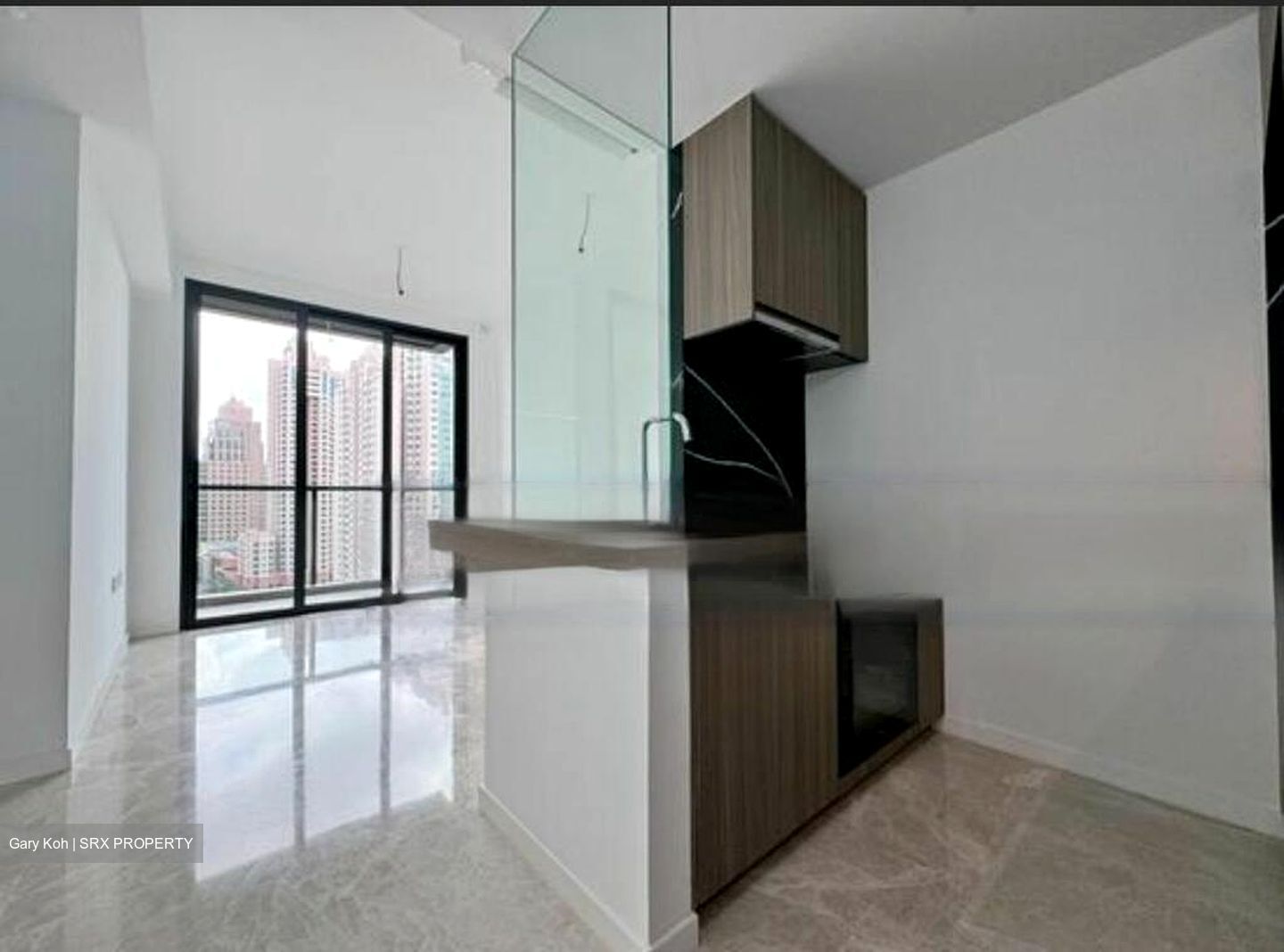 Irwell Hill Residences (D9), Apartment #460985571